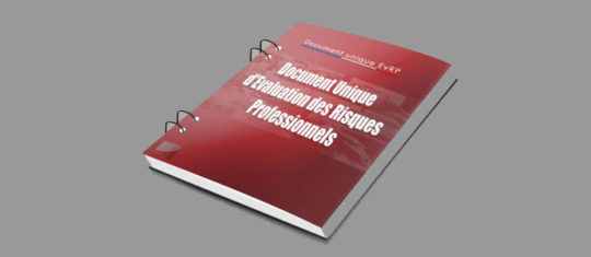 Document unique evrp