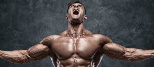 Musculation